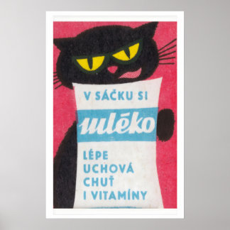 Impression d'art de boîte d'allumettes de chat noi
