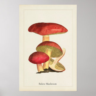 Impression d'art de champignon antique 