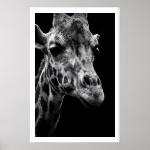 Impression d'art de girafe Photographie monochrome