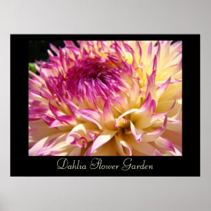 Impression d'art de jardin de fleurs de dahlia Fle
