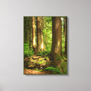 Impression d'art de paysage canadien Forêt de la c