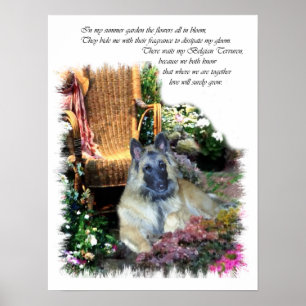 Impression d'art du Tervuren belge