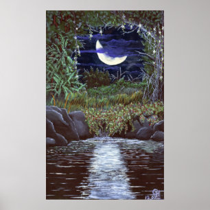 Impression d'art en acrylique de Moonlight Falls