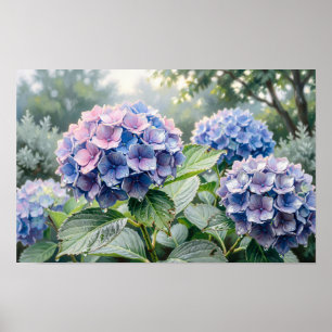 Impression d'art fine de Hortensias Bleus et Viole