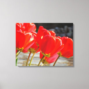 Impression d'art floral de tulipes sur toile Fleur