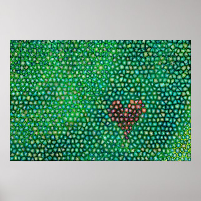 Impression d'art Galets (Devant)