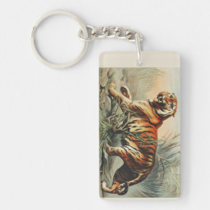 Impression d'art naturaliste vintage du tigre roya