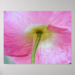 Impression d'art photographique de fleur de pavot