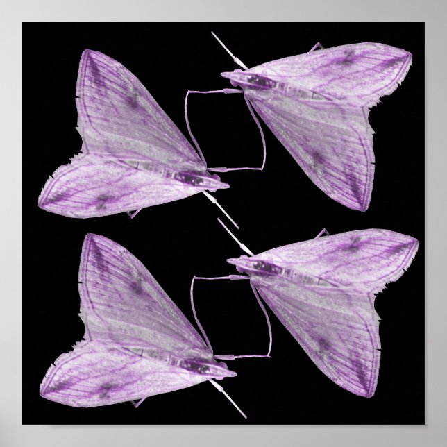 Impression d'art pourpre Moth (Devant)