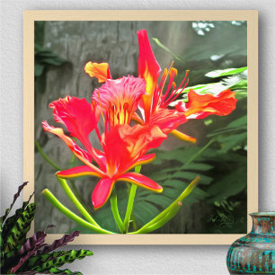 Impression d'art Vallarta Flaming Beauty 1583