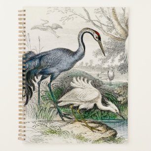 Impression d'art vintage sur la nature avec héron,