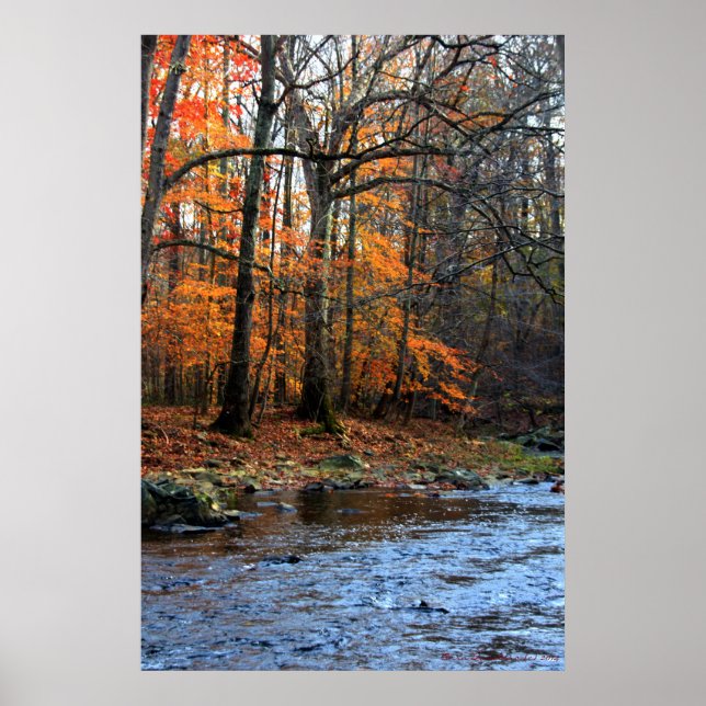 Impression d'automne au ruisseau #154 (Devant)