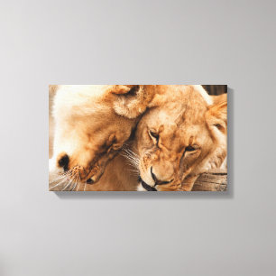 Impression de canevas du couple Lions
