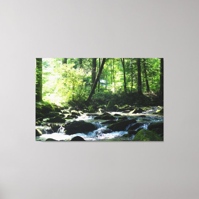 Impression de canvas de rivière pittoresque (Recto)
