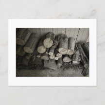 Impression de carte postale de loup abordable
