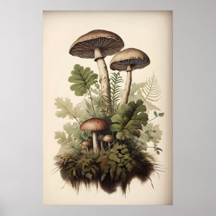 Impression de champignon botanique, fougère mousse