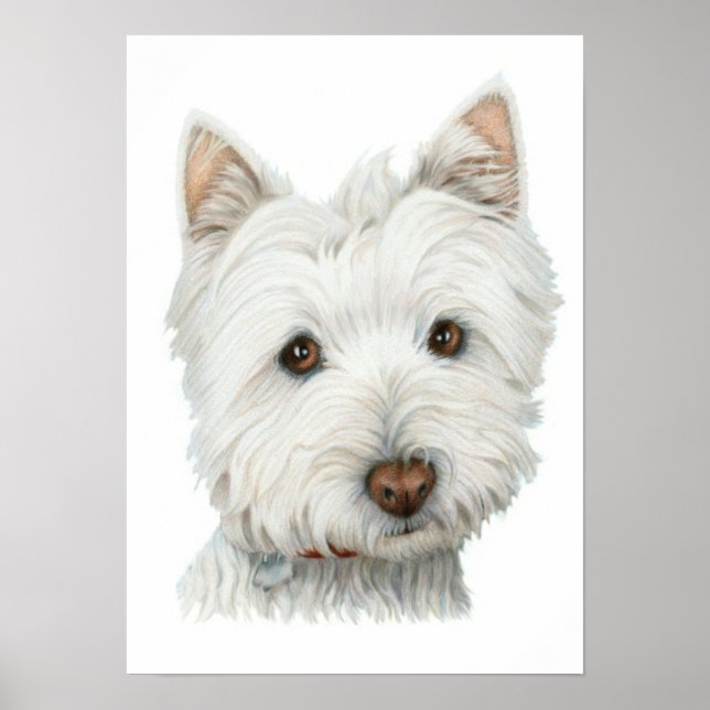 Impression de chien Westie mignon (Devant)