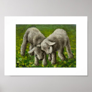 Impression de combat d'agneau