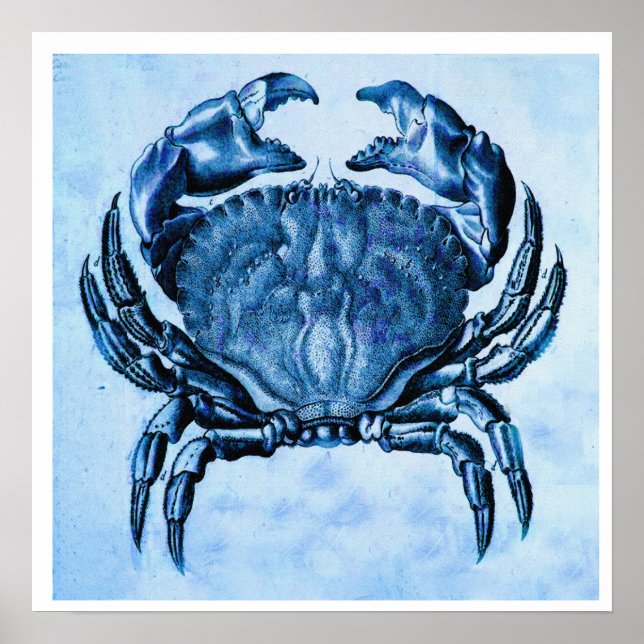 Impression de crabe bleu vintage (Devant)
