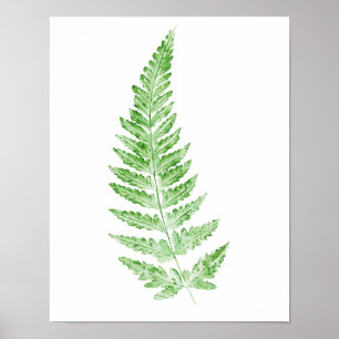 Impression de feuille de fronde de fougère verte à