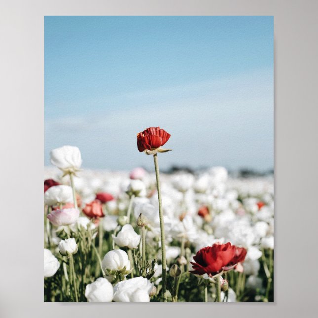 Impression de fleurs rouges, papier affiche de val (Devant)