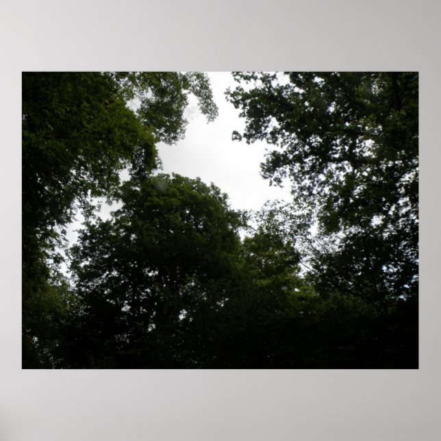 Impression de forêt déplaisante (Devant)