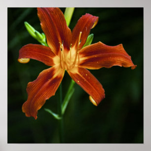 Impression de la flamme du jardin