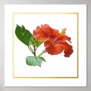 Impression de la fleur rouge Hibiscus à huile gauc