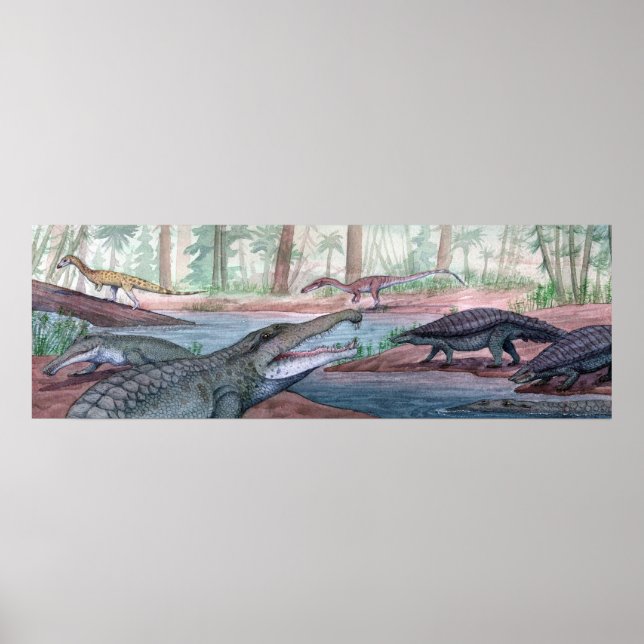 Impression de la formation Redonda (Devant)