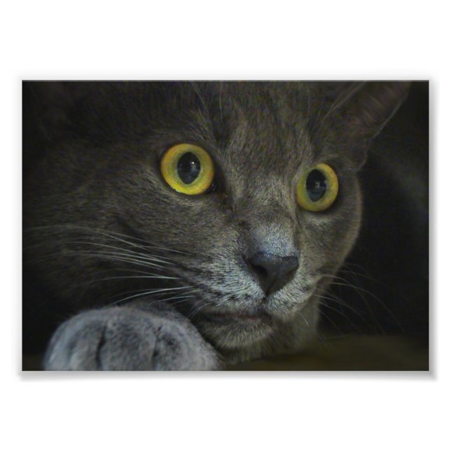 Impression de la photo d'intensité (Devant)