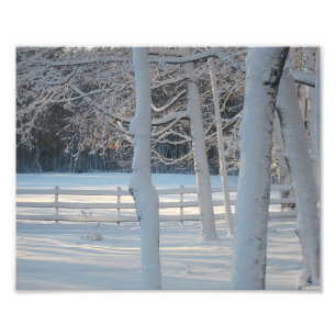 Impression de la photo du pâturage d'hiver