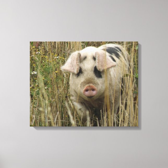 Impression de la toile de cochon (Recto)