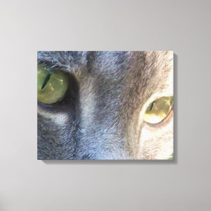 Impression de la toile de visage de chat gris