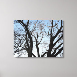 Impression de la toile d'étirement de l'arbre