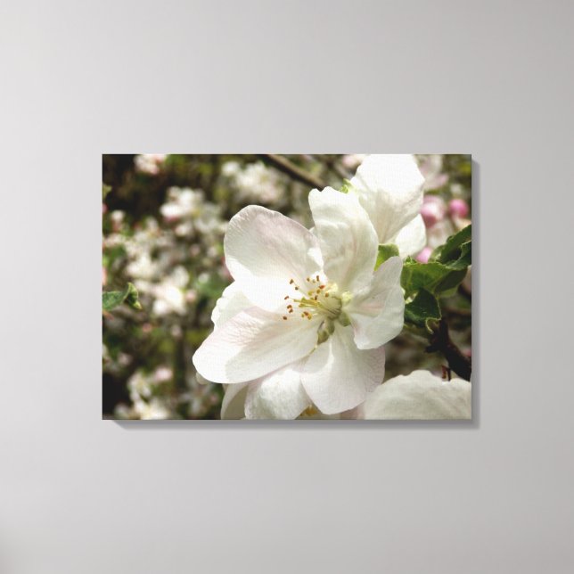 Impression de la toile en fleur Apple (Recto)