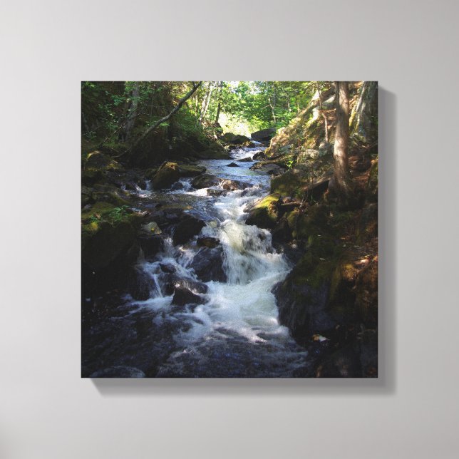 Impression de la toile Smal Falls (Recto)