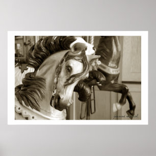 Impression de l'affiche Carousel 40