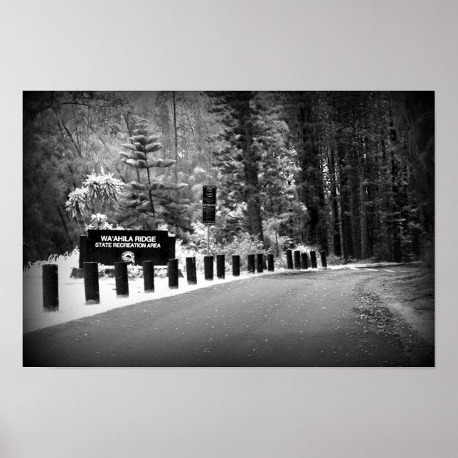 Impression de l'affiche de 12 po x 18 po - La crêt (Devant)