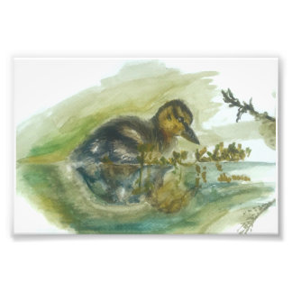 Impression de l'aquarelle à canettes