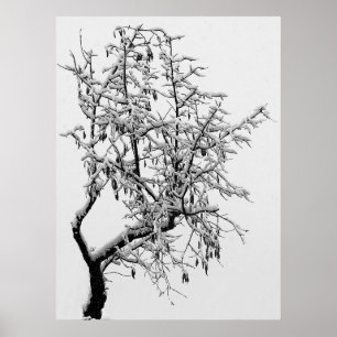 Impression de l'arbre d'hiver