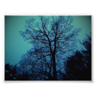Impression de l'arbre Spock