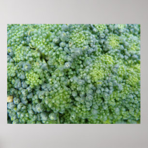 Impression de macro Broccoli