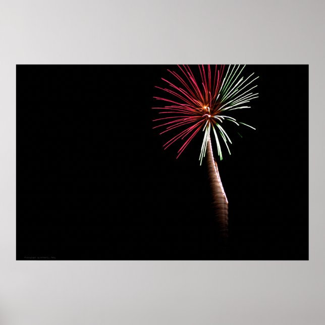 Impression de palme rouge et verte (Devant)