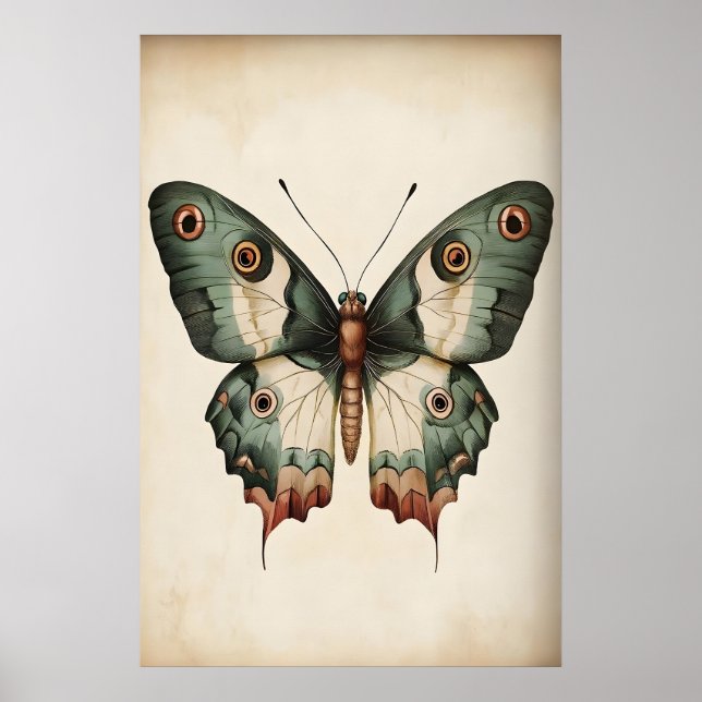 Impression de papillon vert sauge, papillon de sty (Devant)