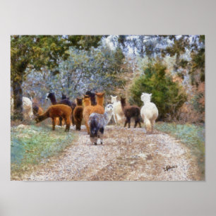 Impression de peinture numérique Alpacas