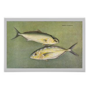 Impression de poisson Vintage jaune et orange
