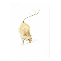 Impression de souris curieuse