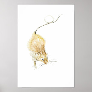 Impression de souris curieuse