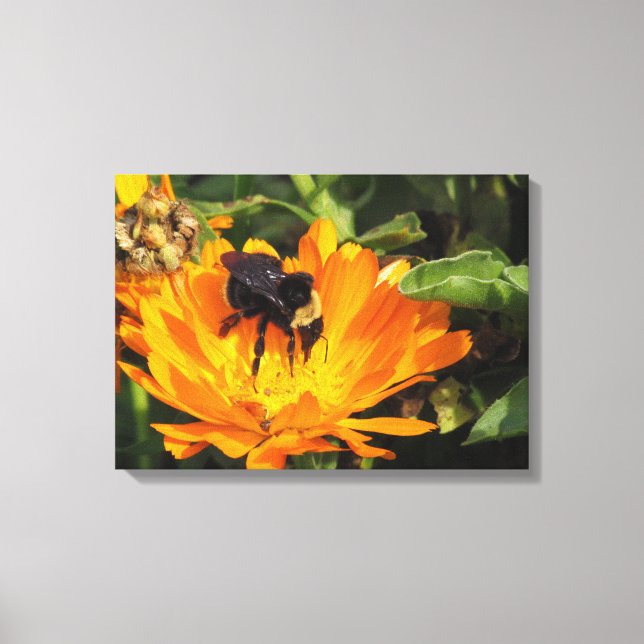 Impression de toile - Calendula et Bee (Recto)