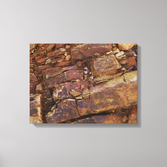 impression de toile de vue rocheuse (Recto)